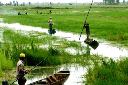 Tăng cường ứng phó với biến đổi khí hậu vùng đồng bằng sông Cửu Long - ảnh 1